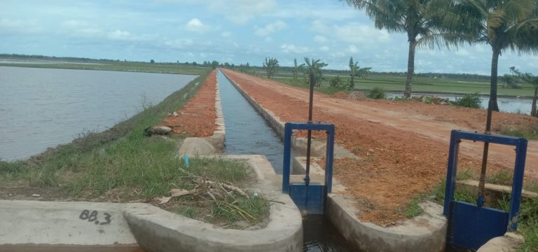 Pembangunan Irigasi Sawah Membawa Dampak Positif Terhadap Para Petani