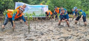 PLN Batam Tanam 1.000 Pohon Mangrove di Pantai Nongsa
