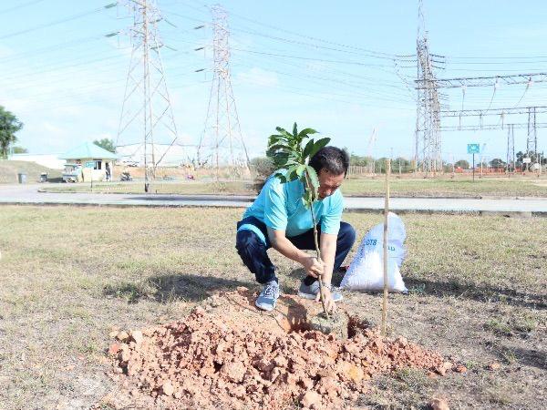 Peringati Bulan K3 Nasional, PLN Batam Tanam Pohon di Gardu Induk Tanjung Kasam