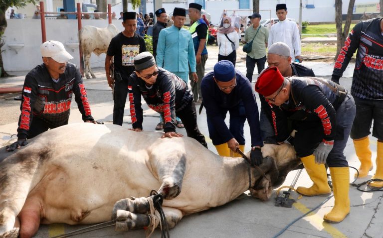 Pemko Batam Salurkan 66 Hewan Kurban, Distribusi hingga ke Wilayah Hinterland