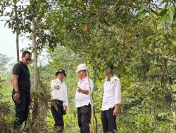Amsakar Respons Keluhan Warga Nongsa, BP Batam Percepat Pengerjaan Interkoneksi untuk Perkuat Suplai Air